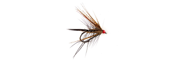 Wet Fly