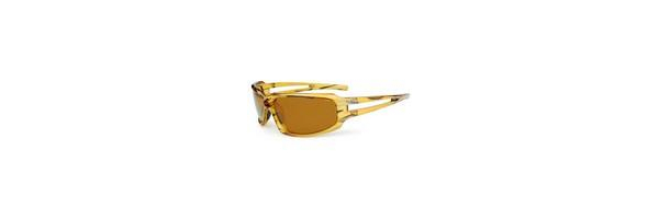 Polbrille