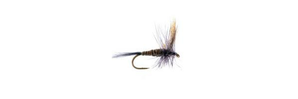 Dry Fly