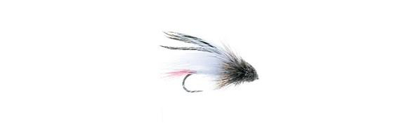 Streamer