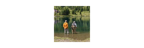 Guiding & Kurse