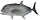 giant trevally