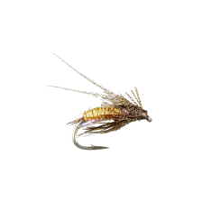Nymphe Zaddis Amber