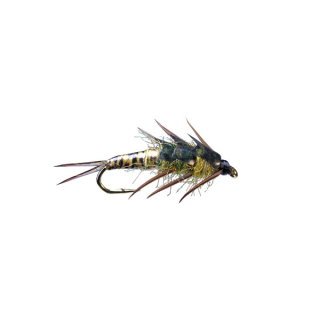 Golden Biot Stonefly Hook # 8