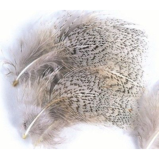 English Partridge Feathers
