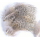 English Partridge Feathers