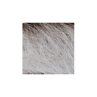 Veniard Zonker Stripes Visone Natural GREY