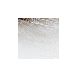 Veniard Mink Zonker Stripes Natural WHITE