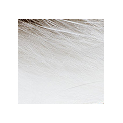 Veniard Mink Zonker Stripes Natural WHITE