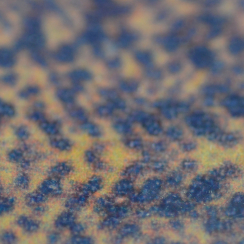 Skinny Skin Mottled Gold