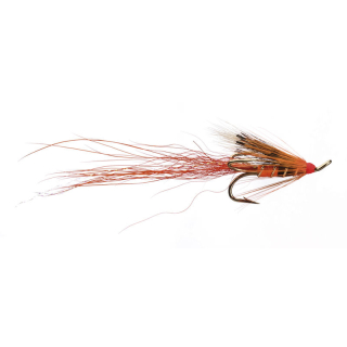 Ally´s Shrimp