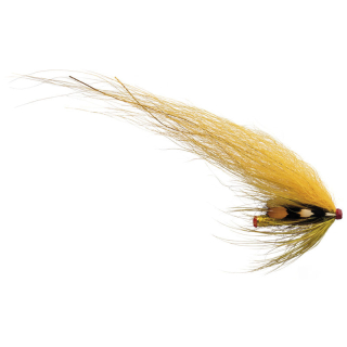 Banana Tube Fly