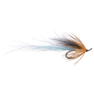 The Podolsky Fly #6