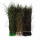 Veniard Peacock Herl