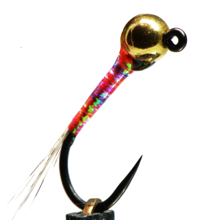 Perdigon Rainbow