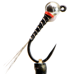 Perdigon Bianco Nera 16