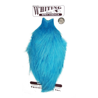 Whiting Spey Hackle Blue Bronze
