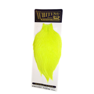 whiting american hackle roostercape Yellow Chartreuse
