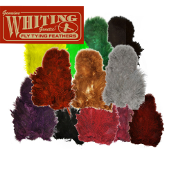 Whiting Soft Hackle Chickabou