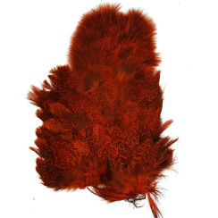 Whiting Soft Hackle Chickabou Coq de Leon Soft H w/Chickabou