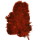 Whiting Soft Hackle Chickabou Coq de Leon Soft H w/Chickabou