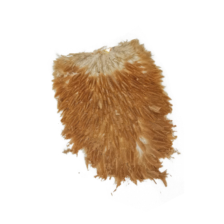 Whiting Hennensattel Brown