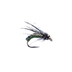 Wired Caddis - Olive grandezza amo 12