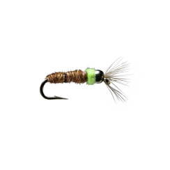 Furimskys Feeding Caddis Hakengröße 14