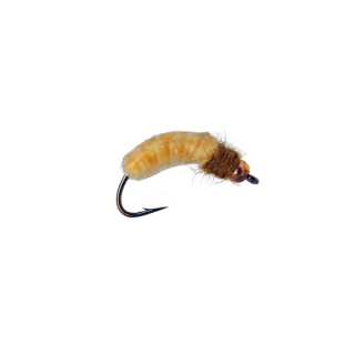ilvermans Crane Fly Larva - Cream grandezza amo 8