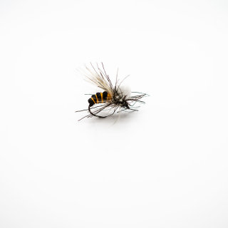 Wasp Barbless Hook 10