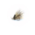 MC Who Caddis