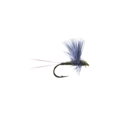 Thorax - BWO Hakengröße 16