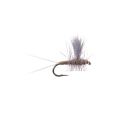 Thorax - Mahogany Hakengröße 14