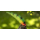 Ahrex - XO774 - Universal Curved #2/0