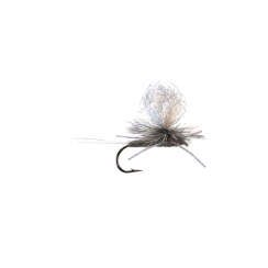 Trinas Para-Trooper Callbaetis grandezza amo 14