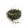 Barred Hackles Chenille Gold Olive