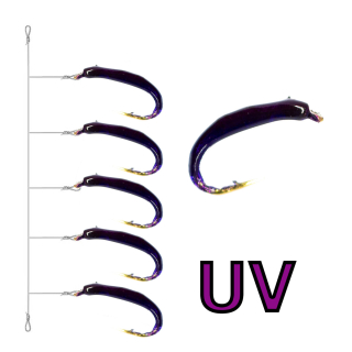 Hegene UV 5er Powder Purple