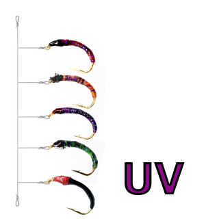 Hegene UV 5er Barred Mix