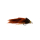 Marble Muddler Streamer Brown