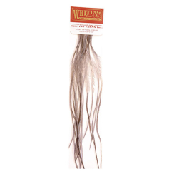 Whiting 100 Größe 14 Grizzly