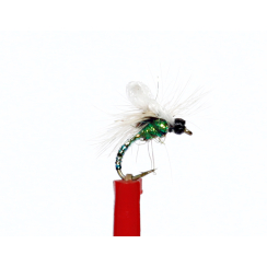 DryFly DF026 Dry and Terres Amo # 18