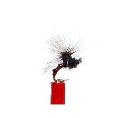 DryFly DF023 Dry and Terres Amo # 20