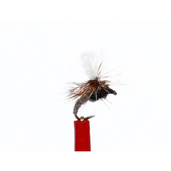DryFly DF024 Dry and Terres Amo # 18