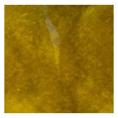 Wapsi Super Fine Dubbing Golden Olive