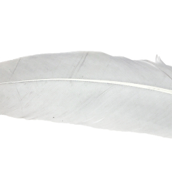 Condor Large Quill Weiss