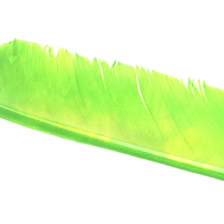Chartreuse