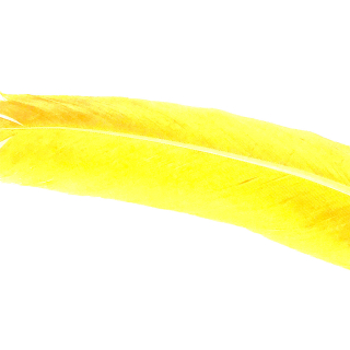 Condor Large Quill Gelb