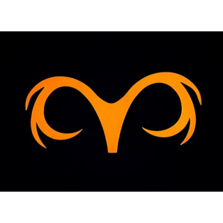 Orange Fluo