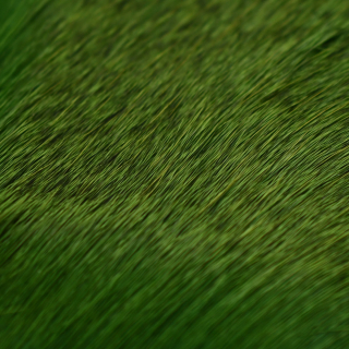 Grün