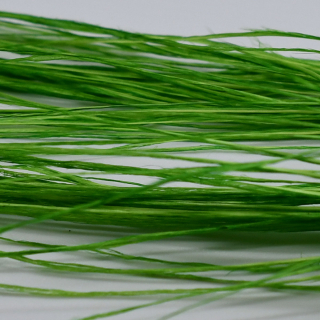 Chartreuse
